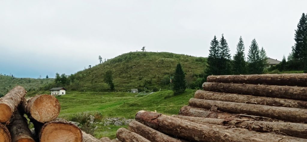 Tutte le sculture di Marco Martalar.....in Trentino